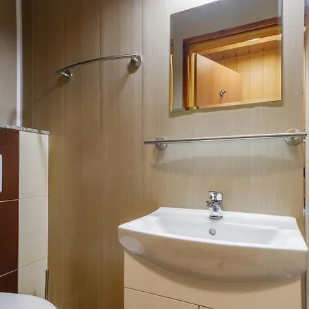 Relaks - 50 M Od Wyciagow, Blisko Restauracji I Term 3* Bukowina Tatrzańska